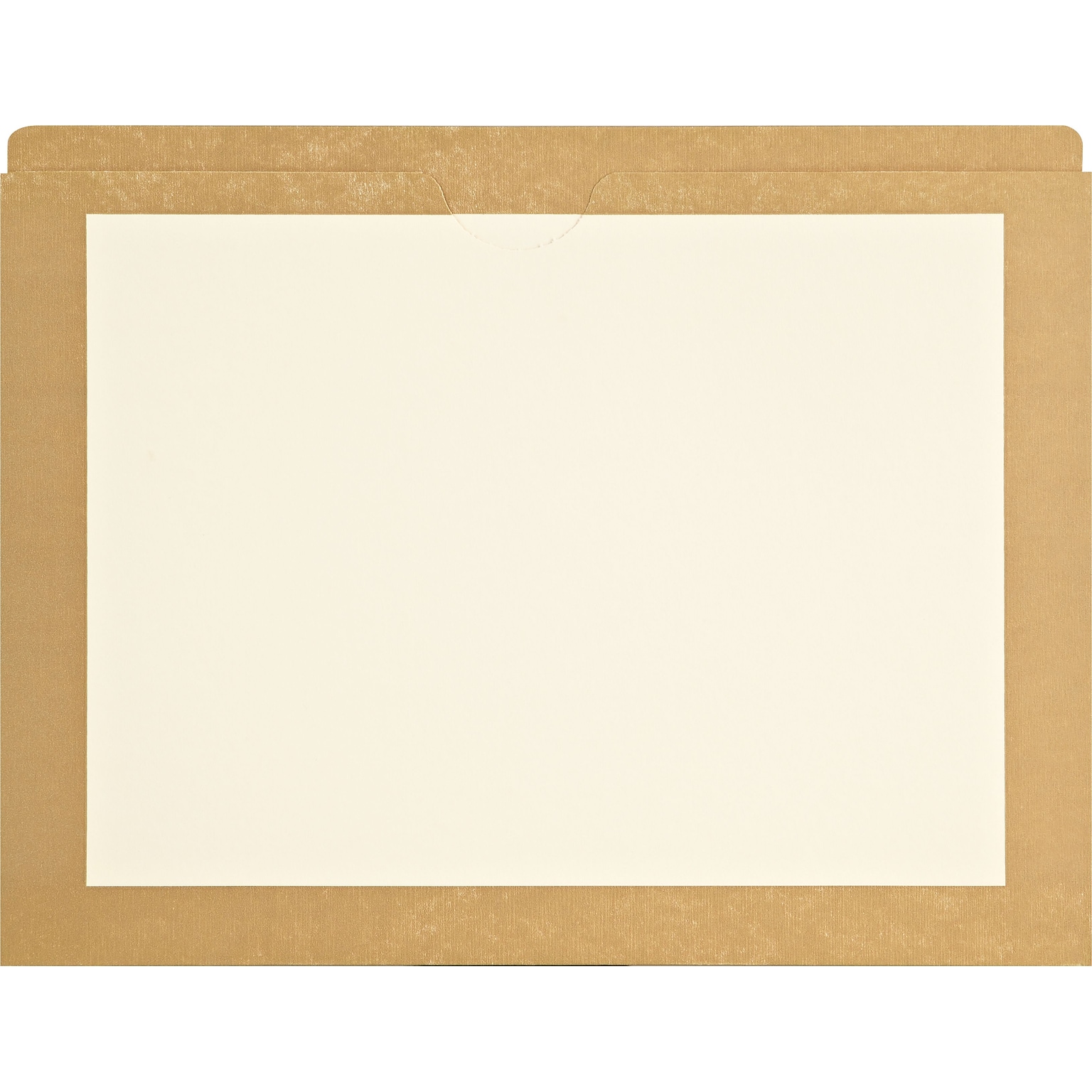 Medical Arts Press®  File Pocket, Letter Size, Tan, 100/Box (M11PKI)