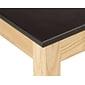 National Public Seating Wood Science Table, Phenolic Series Rectangular Science Table, 24" x 54", Black/Ashwood (SLT1-2448P)
