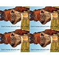 Medical Arts Press® Photo Image Postcards; for Laser Printer; Back to School Horse, 100/Pk