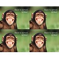 Medical Arts Press® Photo Image Laser Postcards; Back to School Chimp, 100/Pk