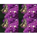 Medical Arts Press® Photo Image Laser Postcards; Butterfly and Cyan Flower, 100/Pk