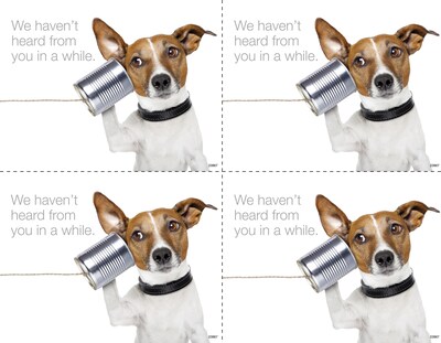 Medical Arts Press® Photo Image Laser Postcards; Dog with Can Phone, 100/Pk