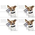 Medical Arts Press® Photo Image Laser Postcards; Dog with Can Phone, 100/Pk