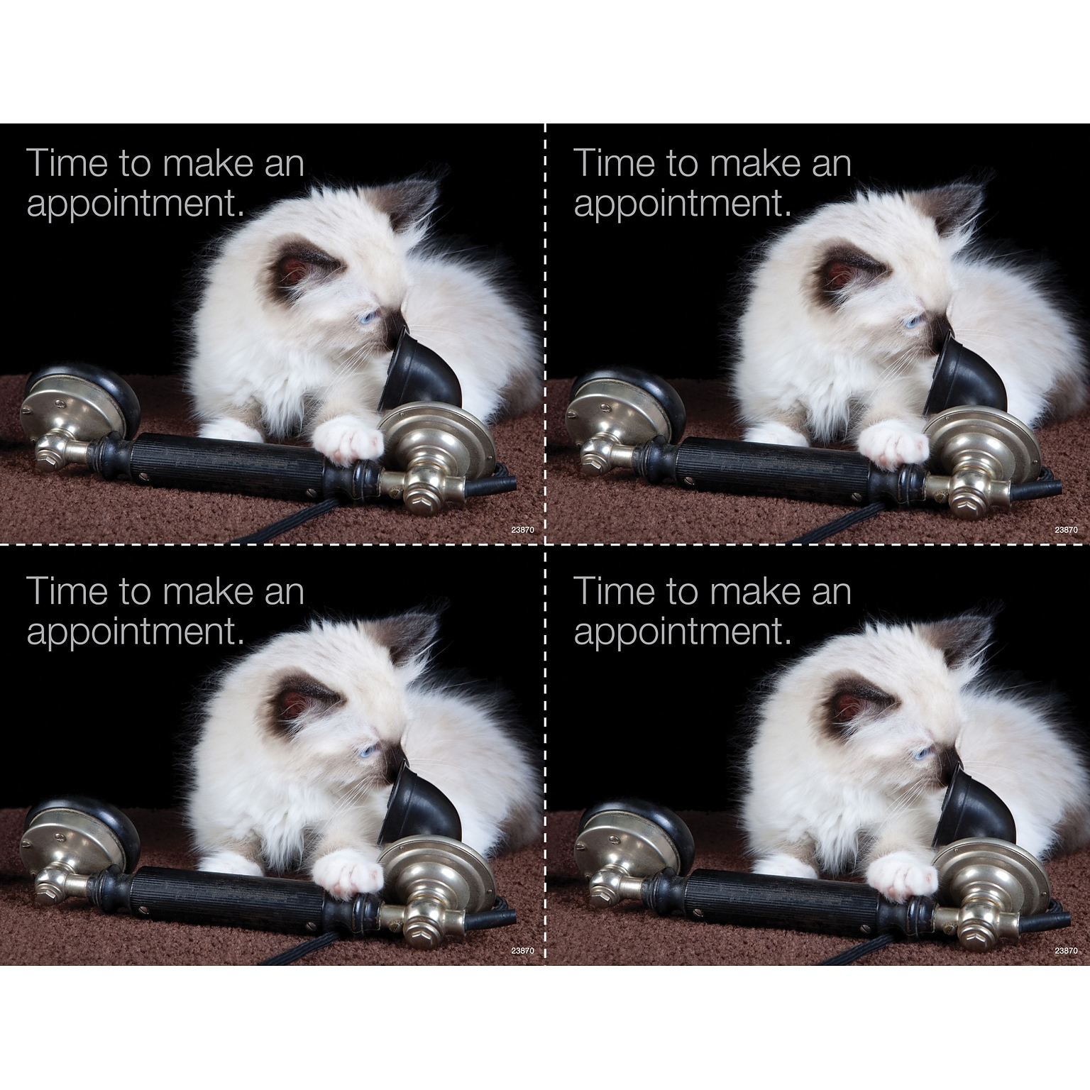 Medical Arts Press® Photo Image Postcards; for Laser Printer; Cat with Phone, 100/Pk