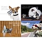 Medical Arts Press® Photo Image Assorted Postcards; for Laser Printer; Dogs and Cats, 100/Pk