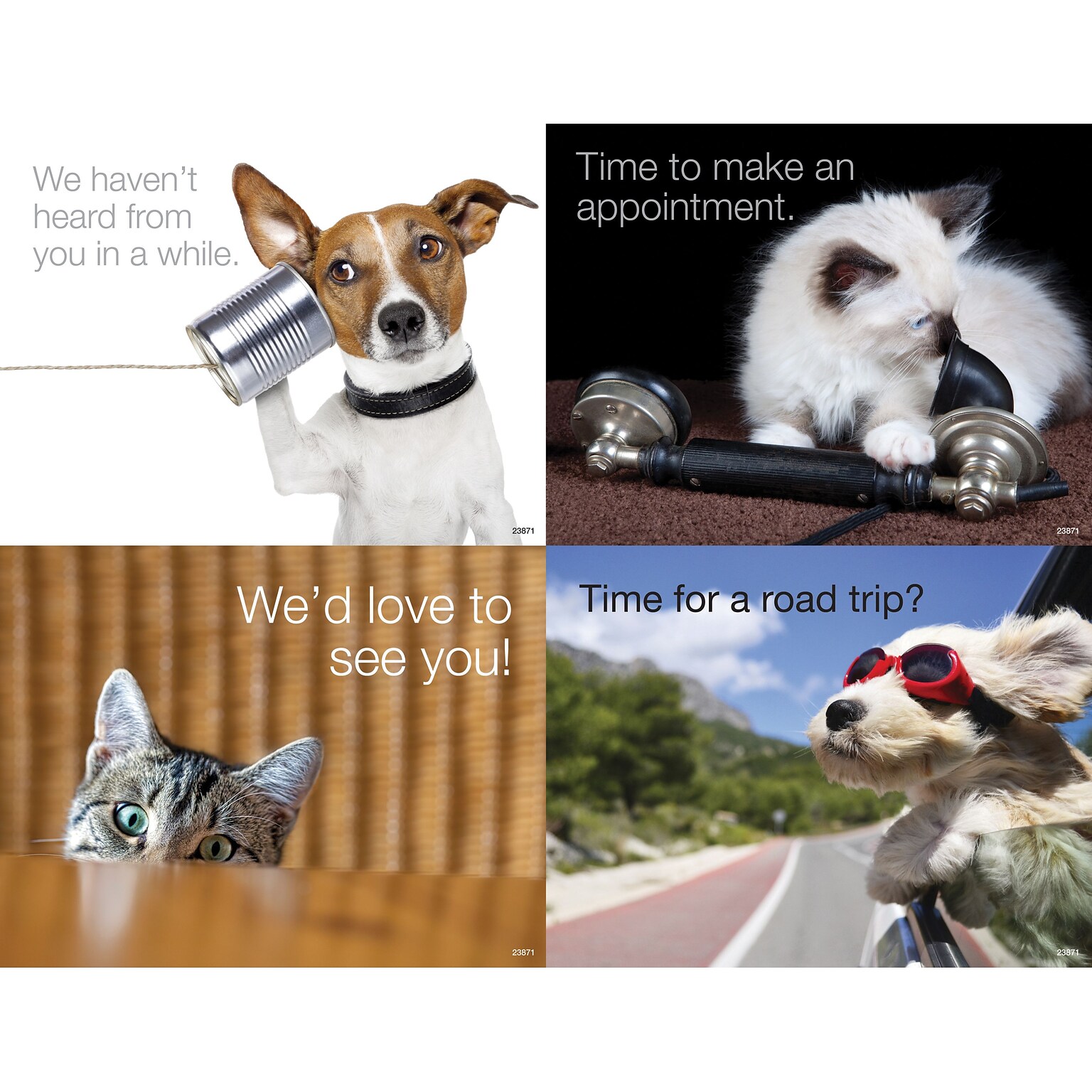 Medical Arts Press® Photo Image Assorted Postcards; for Laser Printer; Dogs and Cats, 100/Pk