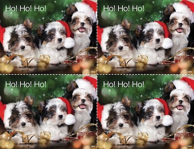 Medical Arts Press® Photo Image Postcards; for Laser Printer; Puppies in Santa Hat, 100/Pk