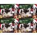 Medical Arts Press® Photo Image Postcards; for Laser Printer; Puppies in Santa Hat, 100/Pk