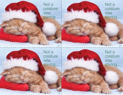 Medical Arts Press® Photo Image Laser Postcards; Cat in Santa Hat, 100/Pk