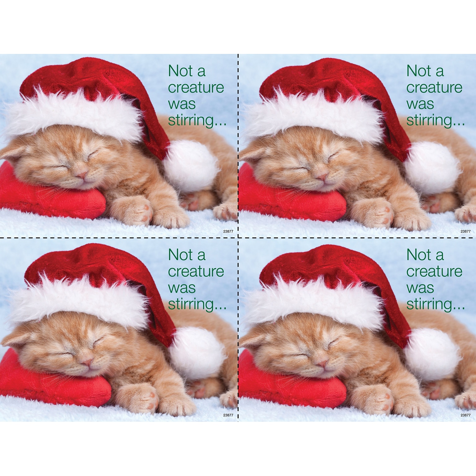 Medical Arts Press® Photo Image Laser Postcards; Cat in Santa Hat, 100/Pk