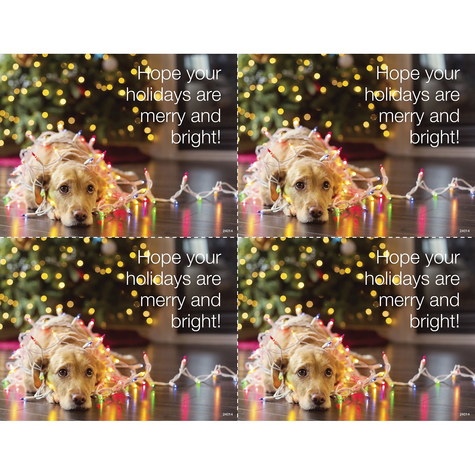 Medical Arts Press® Photo Image Postcards; for Laser Printer; Dog in Holiday Lights, 100/Pk