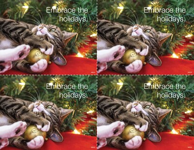 Medical Arts Press® Photo Image Laser Postcards; Cat in Holiday Lights, 100/Pk