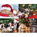 Medical Arts Press® Photo Image Assorted Postcards; for Laser Printer; Holiday Pets, 100/Pk