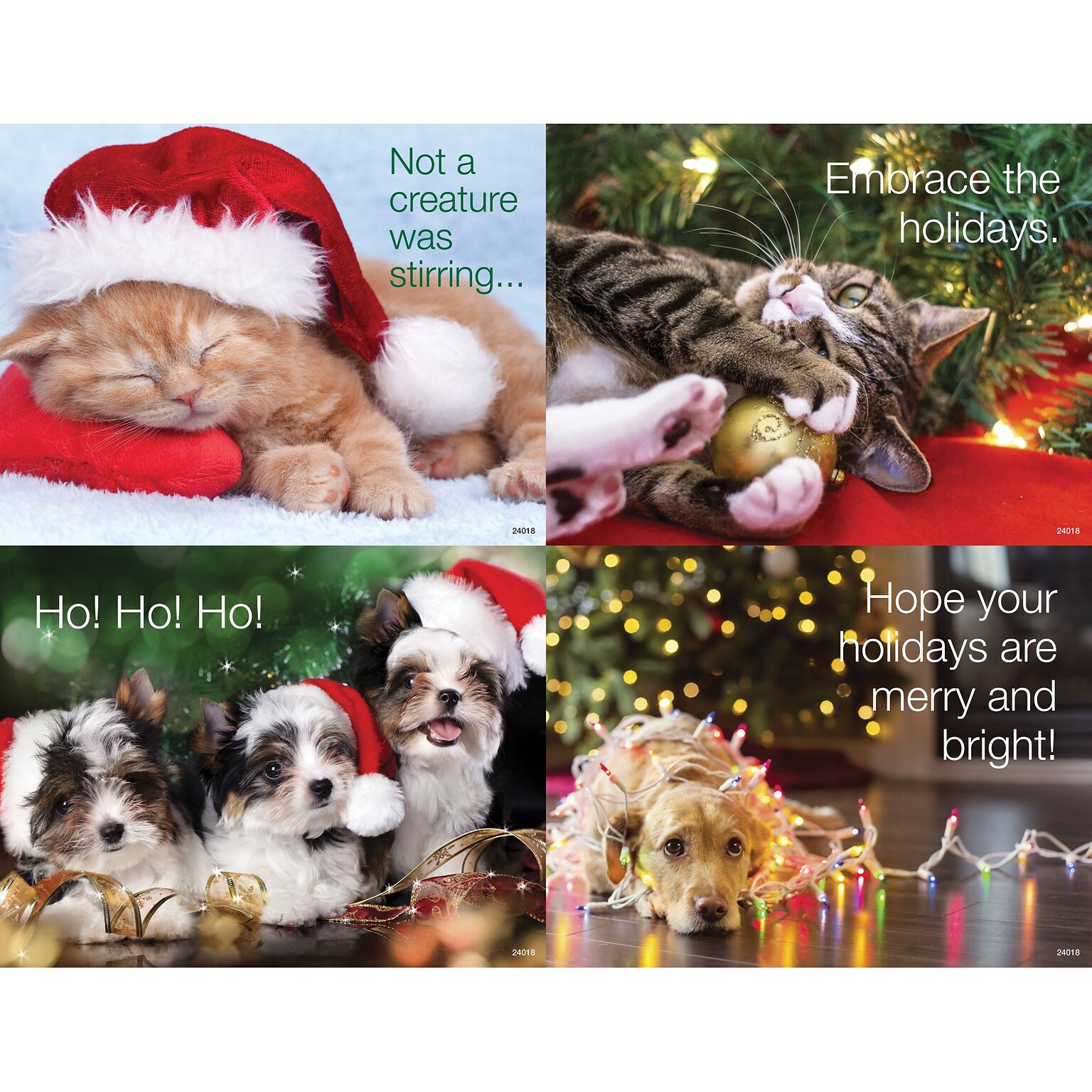 Medical Arts Press® Photo Image Assorted Postcards; for Laser Printer; Holiday Pets, 100/Pk