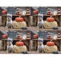 Medical Arts Press® Photo Image Postcards; for Laser Printer; Dog in Mask with Pumpkin, 100/Pk
