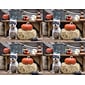 Medical Arts Press® Photo Image Postcards; for Laser Printer; Dog in Mask with Pumpkin