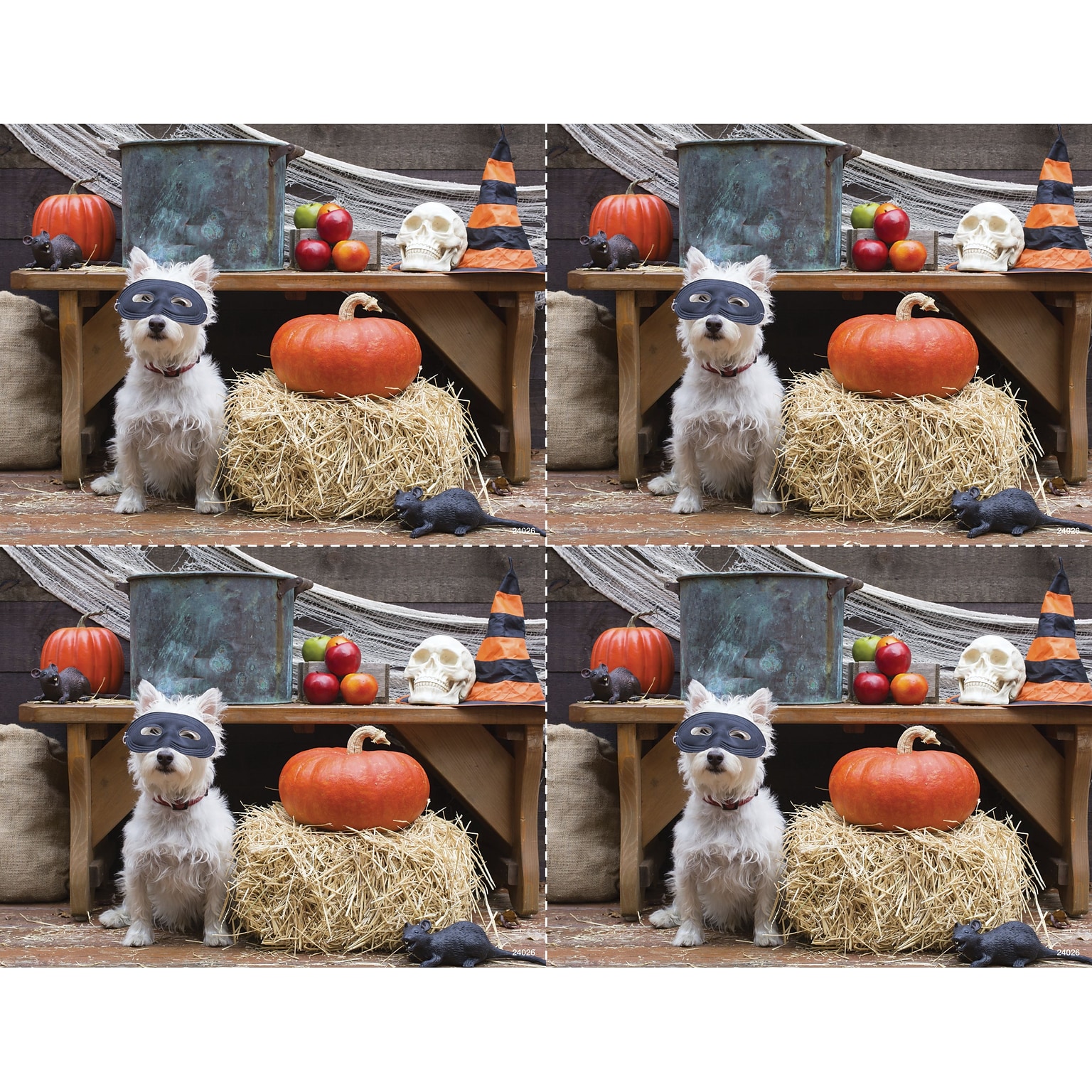 Medical Arts Press® Photo Image Postcards; for Laser Printer; Dog in Mask with Pumpkin, 100/Pk