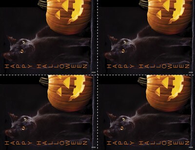 Medical Arts Press® Photo Image Postcards; for Laser Printer; Black Cat with Pumpkin, 100/Pk