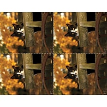 Medical Arts Press® Photo Image Postcards; for Laser Printer; Cat in Fall Cart, 100/Pk