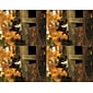 Medical Arts Press® Photo Image Postcards; for Laser Printer; Cat in Fall Cart, 100/Pk