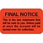Medical Arts Press® Collection & Notice Collection Labels, Final Notice/Last Statement, Fl Red, 7/8x