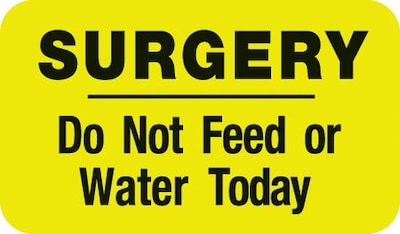 Medical Arts Press® Diet and Medical Alert Labels, Surgery - Do Not Feed or Water, Fl Chartreuse, 7/8x1-1/2, 500 Labels