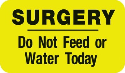 Medical Arts Press® Diet and Medical Alert Labels, Surgery - Do Not Feed or Water, Fl Chartreuse, 7/