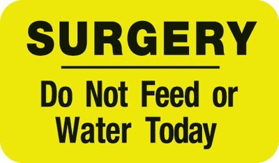 Medical Arts Press® Diet and Medical Alert Labels, Surgery - Do Not Feed or Water, Fl Chartreuse, 7/8x1-1/2, 500 Labels