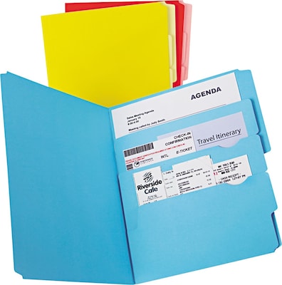 Pendaflex Divide it Up File Folder, Letter Size, Assorted, 12/Pack (10773)