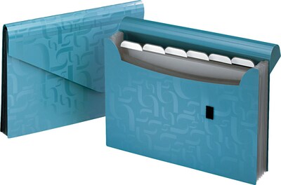 Pendaflex Plastic Accordion, Letter Size, Blue (1158)
