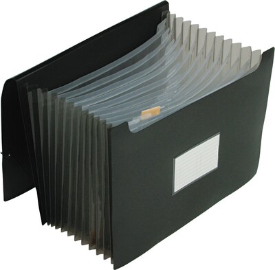 Pendaflex Jumbo 13 Pocket File, 12 Inch Expansion, Poly, Letter, Black (82013)