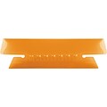 Pendaflex Hanging File Folder Tabs, 1/3 Tab, 3 1/2 Inch, Orange Tab/White Insert, 25/Pack (PFX 42 OR