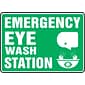 ACCUFORM SIGNS® Safety Sign, EMERGENCY EYE WASH STATION, 10 x 14, Plastic, Each