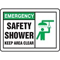 ACCUFORM SIGNS® Safety Sign, EMERGENCY SAFETY SHOWER KEEP AREA CLEAR, 7 x 10, Plastic, Each
