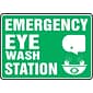 Accuform Safety Sign, Emergency Eye Wash Station, 10" X 14", Adhesive Vinyl (MFSD544VS)