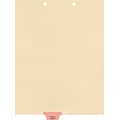 Medical Arts Press® Position 3 Colored End-Tab Chart Dividers, Physical Therapy, Pink