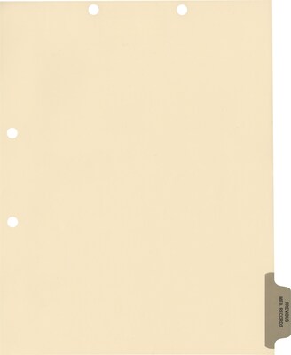 Medical Arts Press® Position 6 Colored Side-Tab Chart Dividers, Previous Medical Records, Gray