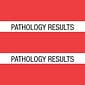 Medical Arts Press® Large Chart Divider Tabs; Pathology Results, Red