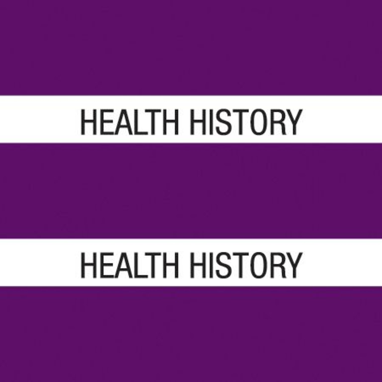 Medical Arts Press® Large Chart Divider Tabs, Health History, Purple