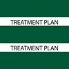 Medical Arts Press® Large Chart Divider Tabs, Treatment Plan, Dk. Green