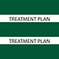 Medical Arts Press® Large Chart Divider Tabs, Treatment Plan, Dk. Green