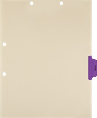 Medical Arts Press® Position 4 Colored Side-Tab Chart Dividers, Therapy, Purple