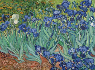 Trademark Global Vincent Van Gogh Irises, 1889 Canvas Art, 26 x 32