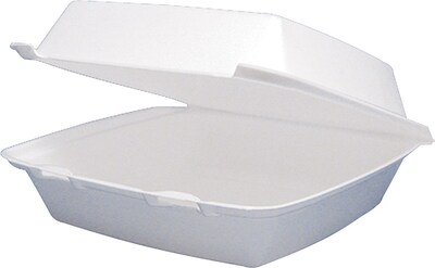 Foam Hinged Lid Medium Container