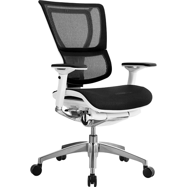 Raynor Eurotech iOO Series Mid-Back Managers Chair, Mesh, Black with White Frame