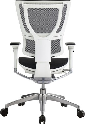 Raynor Eurotech iOO Series Mid-Back Managers Chair, Mesh, Black with White Frame