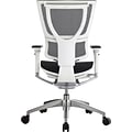 Raynor Eurotech iOO Series Mid-Back Managers Chair, Mesh, Black with White Frame