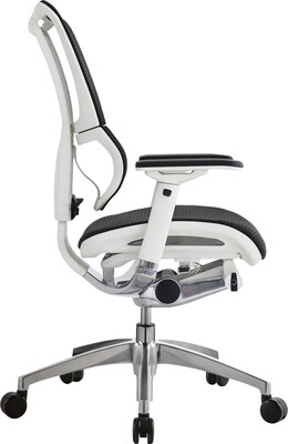 Raynor Eurotech iOO Series Mid-Back Managers Chair, Mesh, Black with White Frame