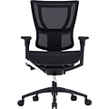 Raynor Eurotech iOO Series Mid-Back Managers Chair, Mesh, Black with Black Frame