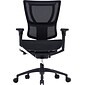 Raynor Eurotech iOO Series Mid-Back Managers Chair, Mesh, Black with Black Frame